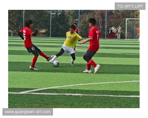 成都足球队团队协作能力显著提升创新高引发广泛关注与讨论