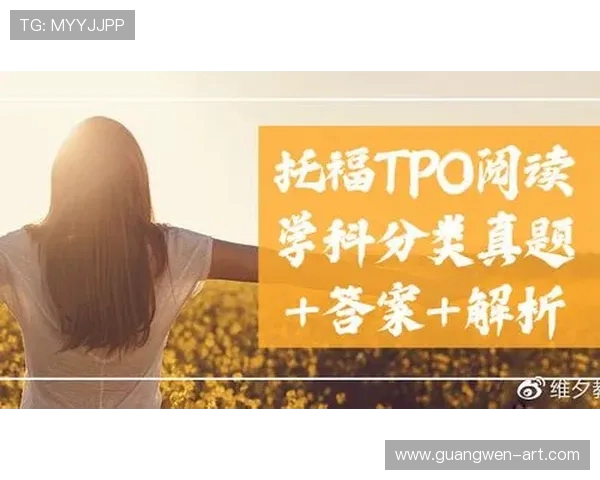 独家解析V5技术优势与其他版本的全面对比分析 独家解析V5技术优势与其他版本的全面对比分析