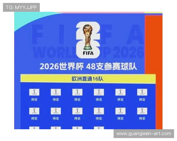 世界杯聚焦：历史辉煌与未来展望的赛场盛宴