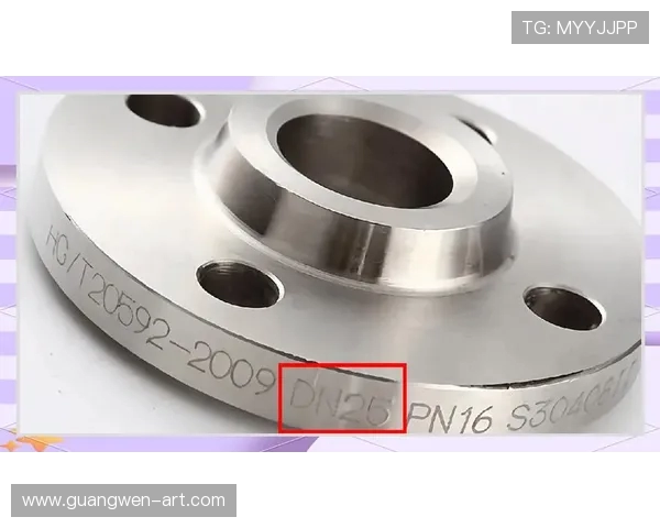 FS法兰与卡尔斯的全面对比分析及市场前景探讨 FS法兰与卡尔斯的全面对比分析及市场前景探讨